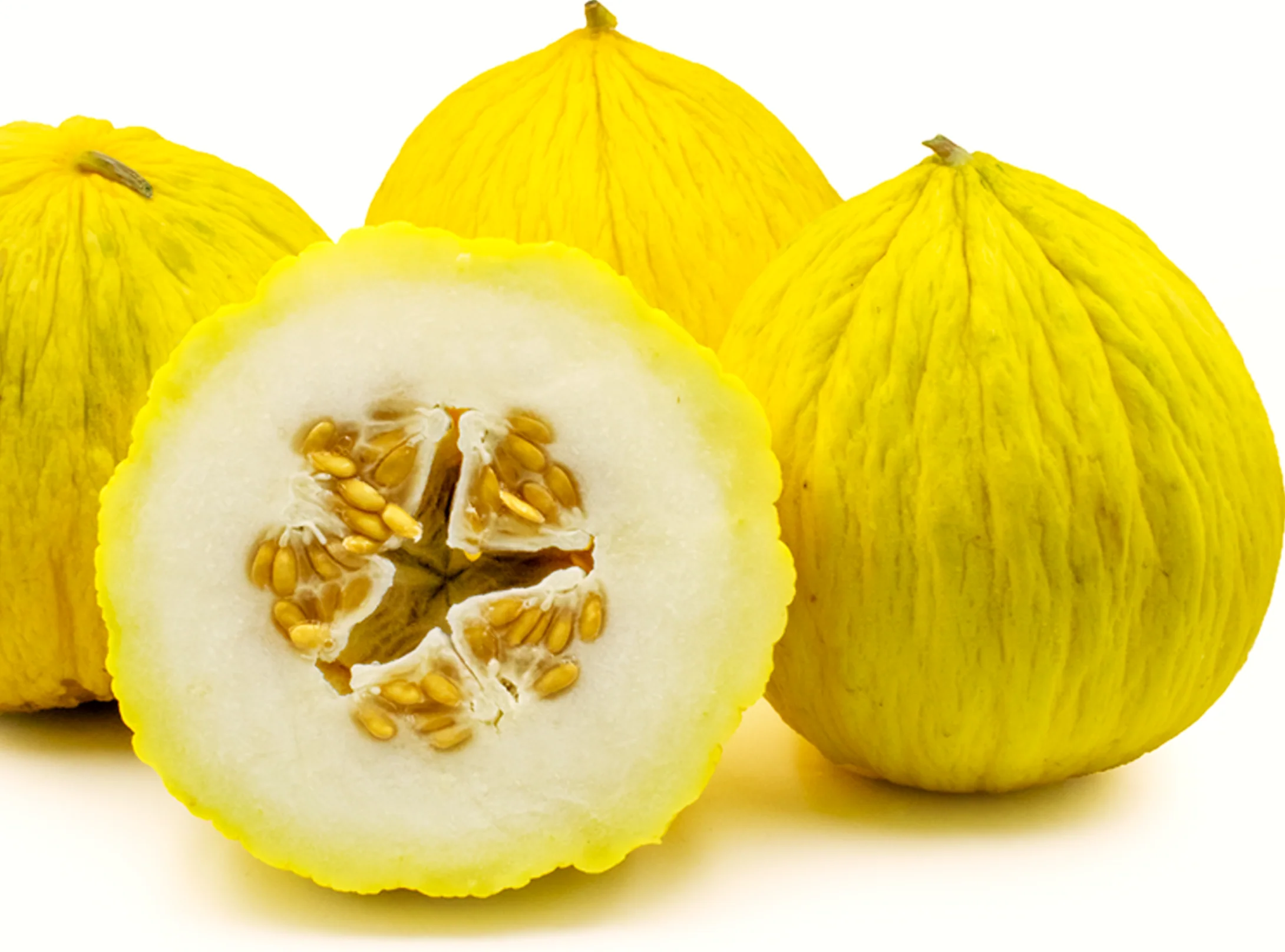 Golden Beauty Casaba Melon - Image 6