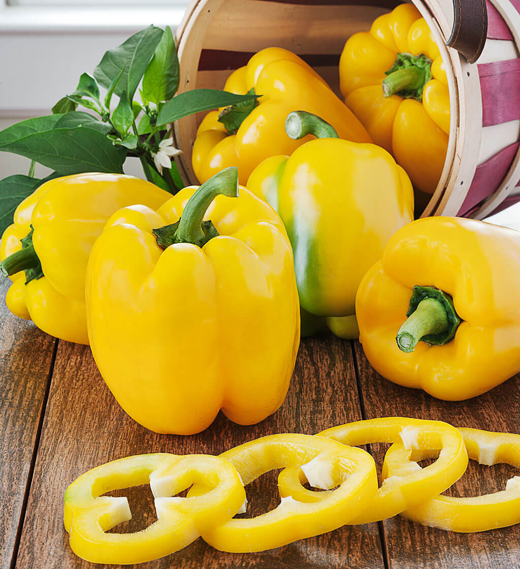 Golden Cal Wonder Bell Pepper - Image 3