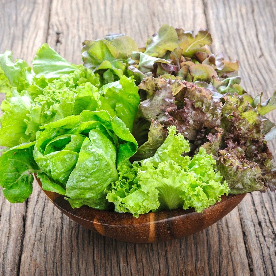 Gourmet Mix Lettuce - Image 4