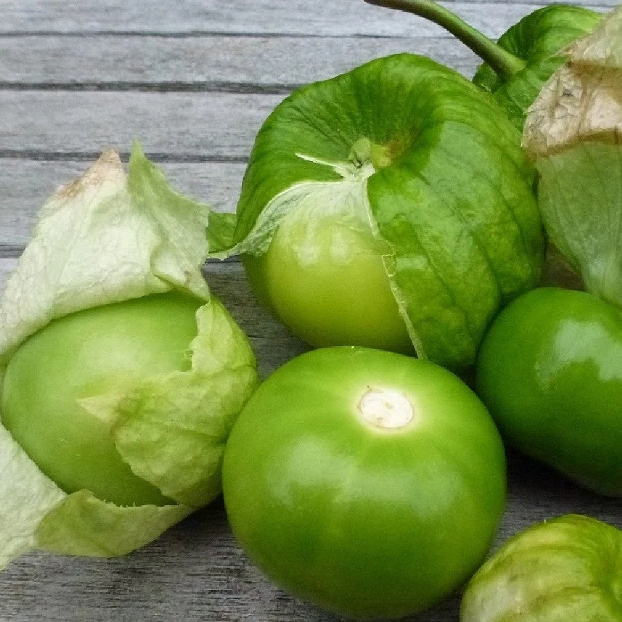 Grande Rio Verde Tomatillo - Image 3