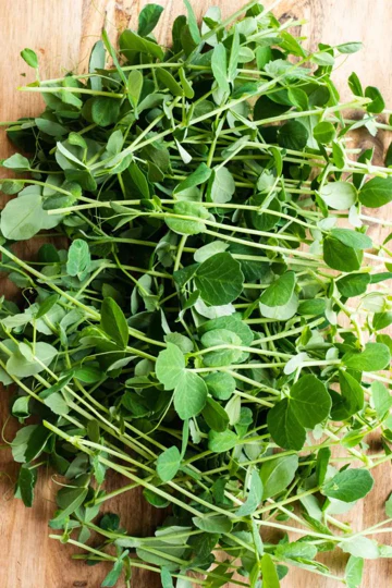 Green Arrow English Pea - Image 4