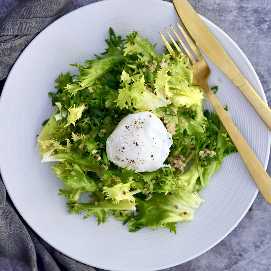 Green Curled Ruffec Endive - Image 10