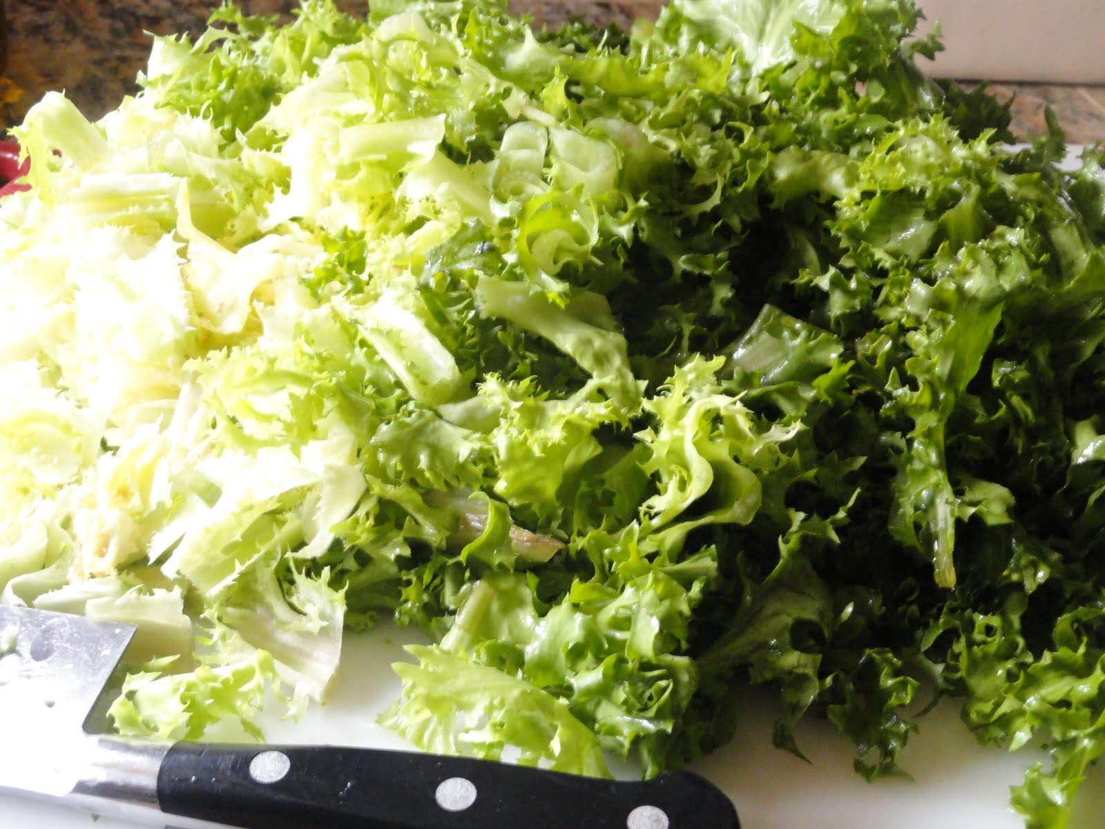 Green Curled Ruffec Endive - Image 3