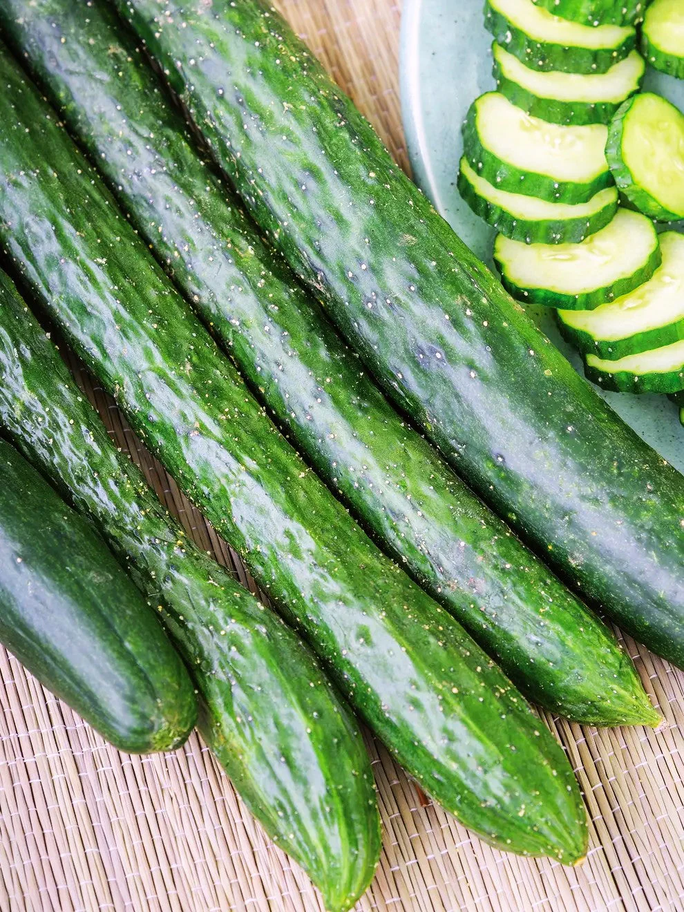 Green Dragon Burpless Cucumber - Image 6