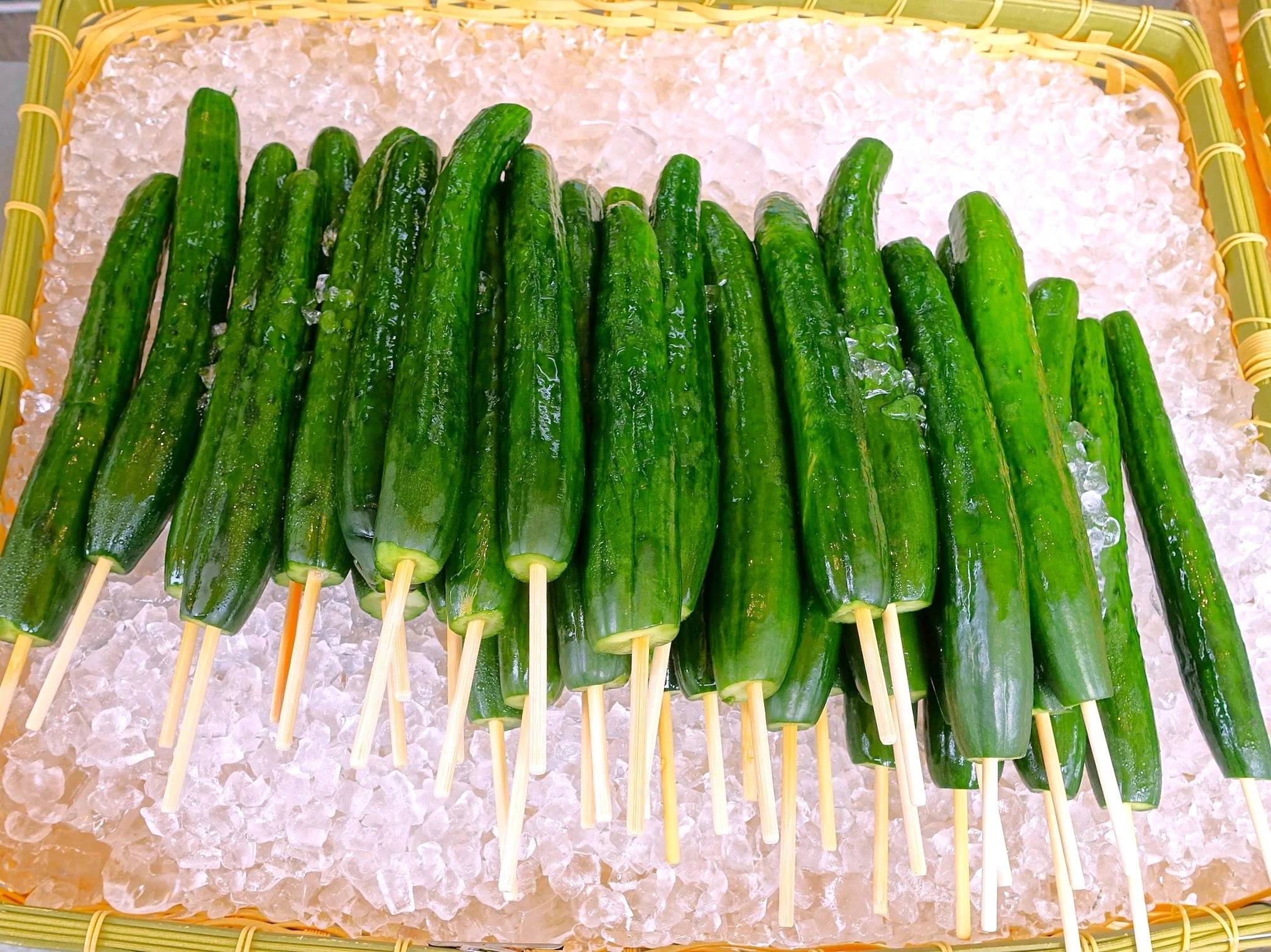 Green Dragon Burpless Cucumber - Image 9