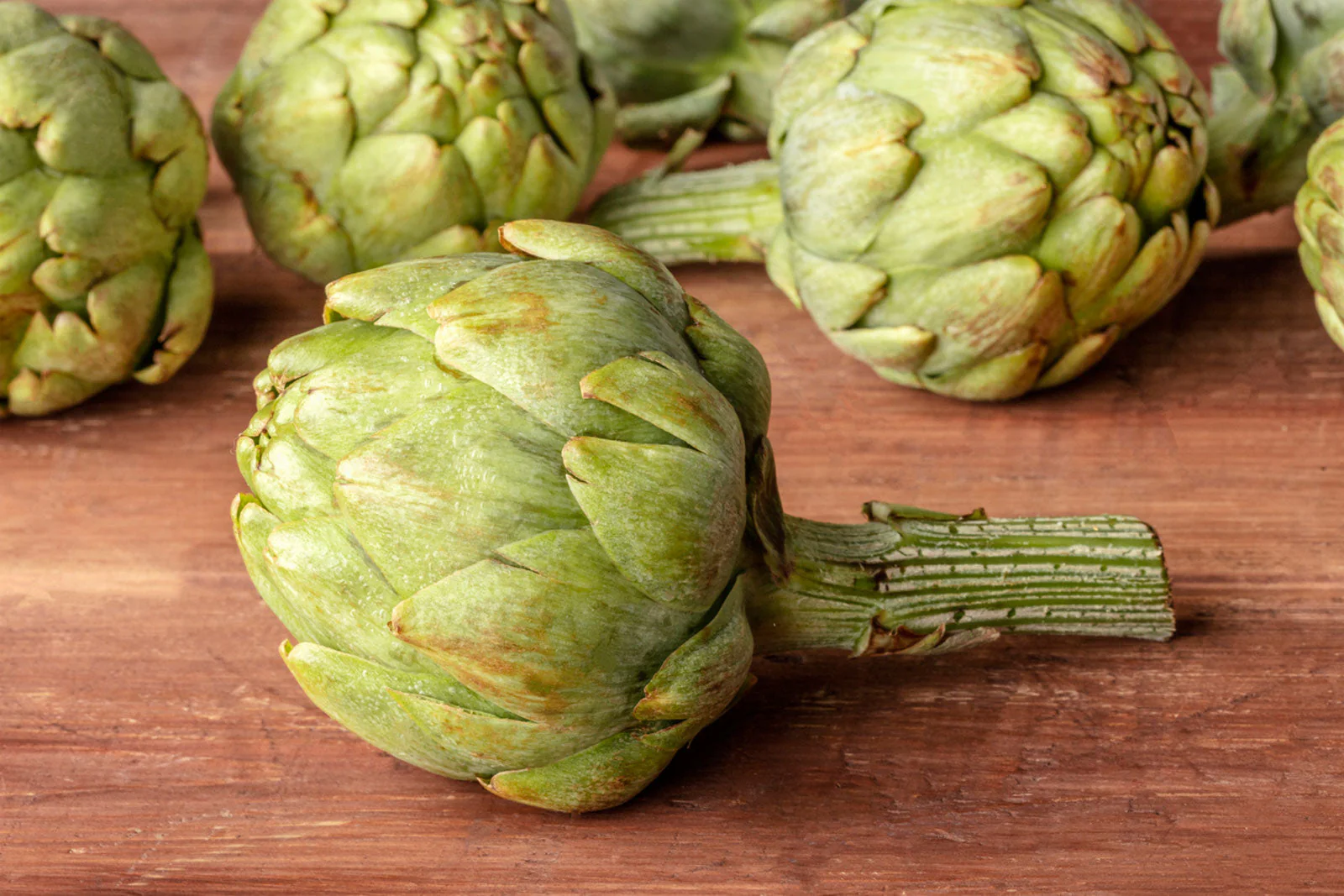 Green Globe Artichoke - Image 3