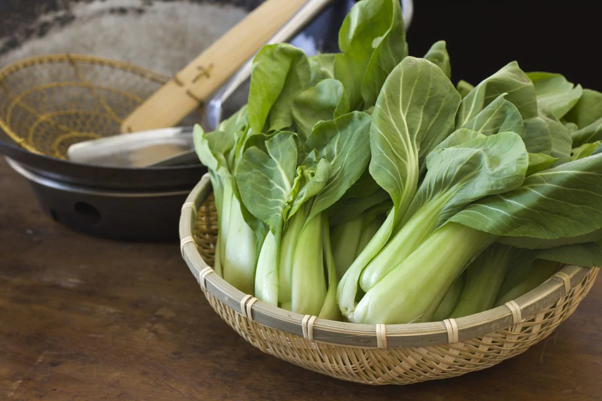 Lu Xiu Green Stem Shanghai Bok Choy - Image 5