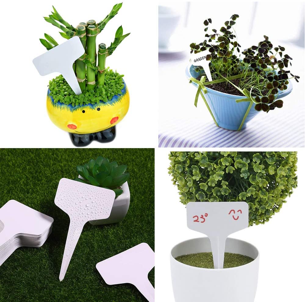 Green T-Shaped Plant Labels - Image 6
