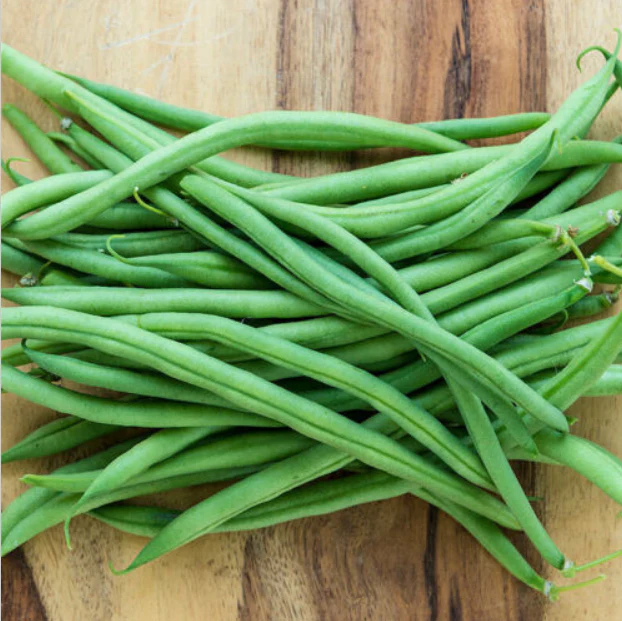 Improved Tendergreen Green Bean - Image 4