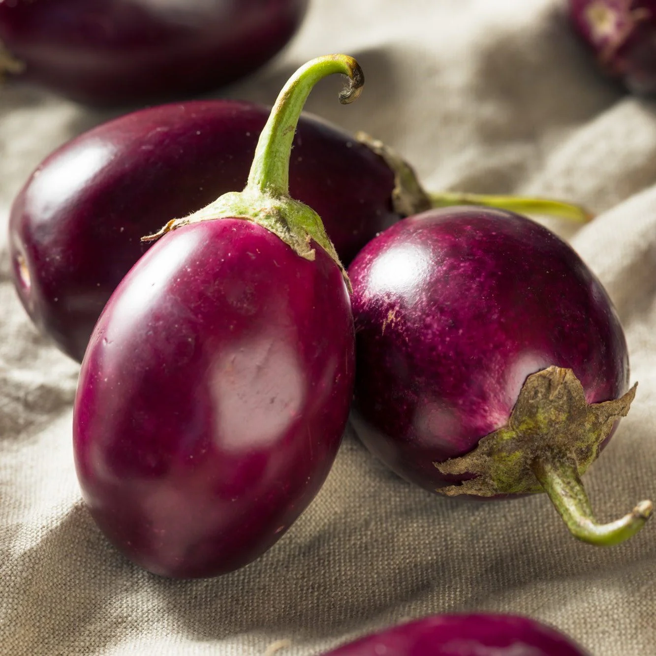 Indian Eggplant - Image 4