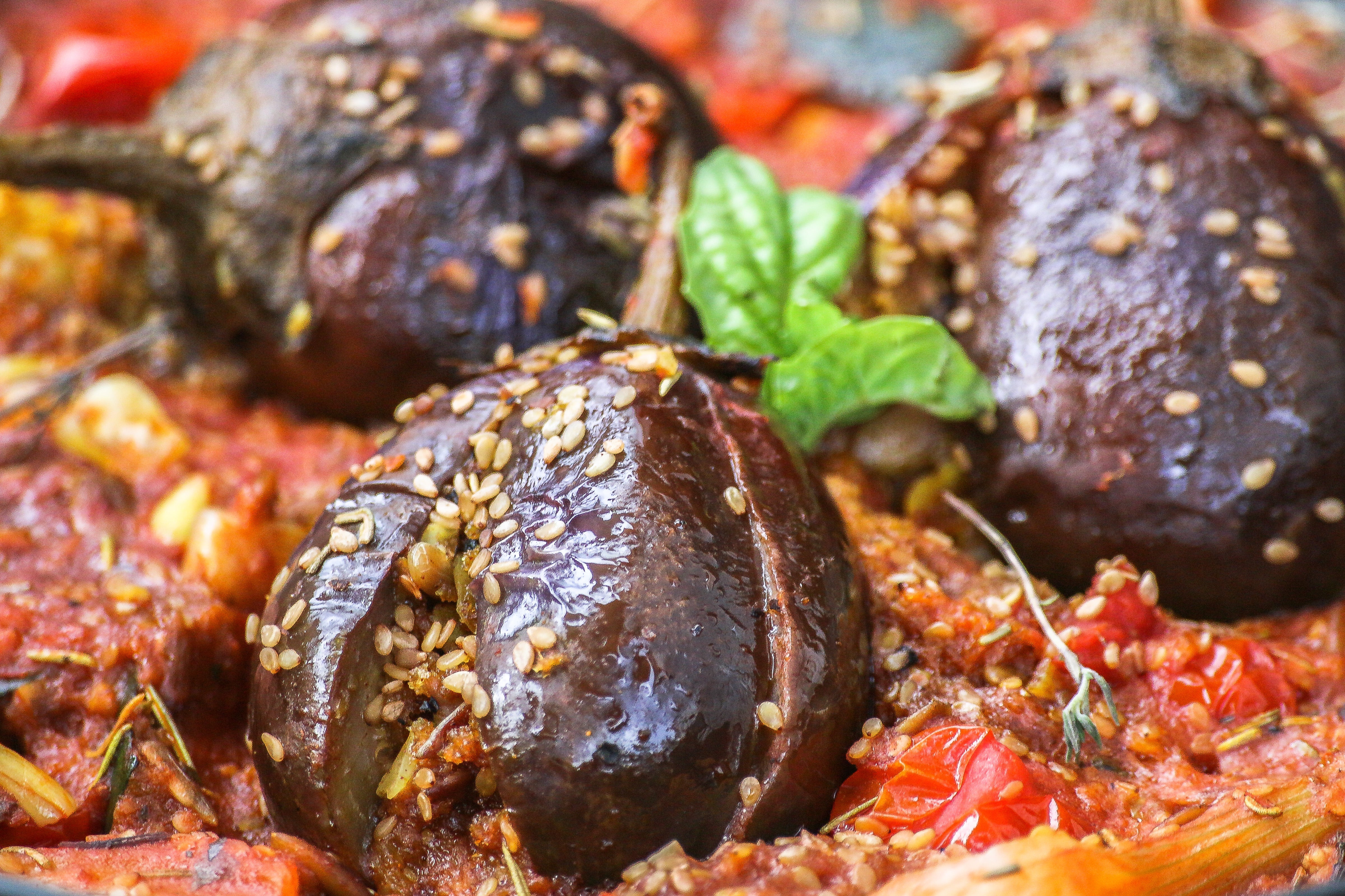 Indian Eggplant - Image 7