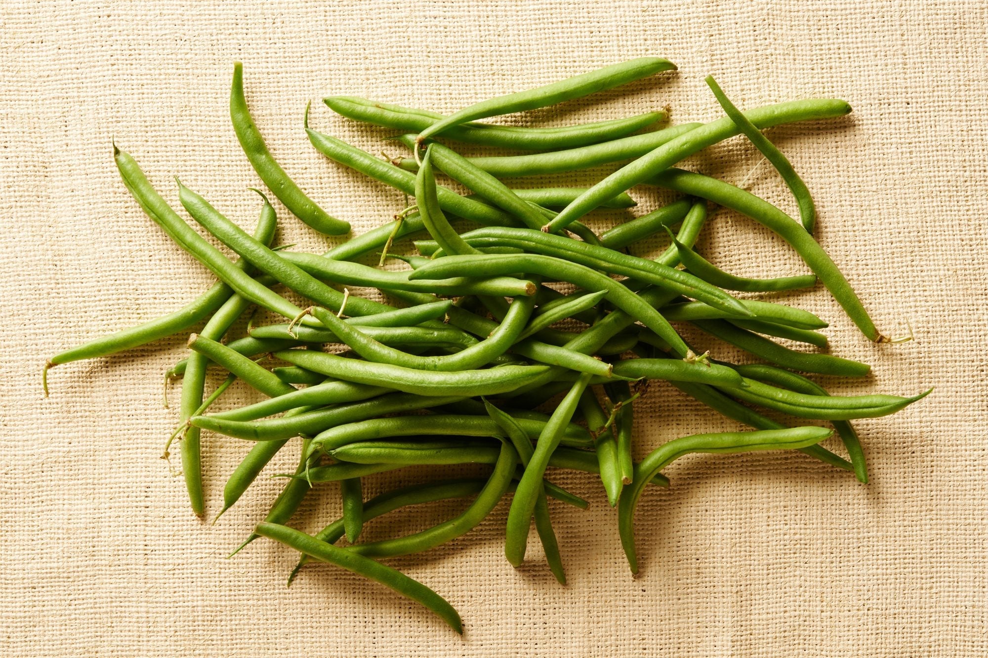 Jade Green Bean - Image 3
