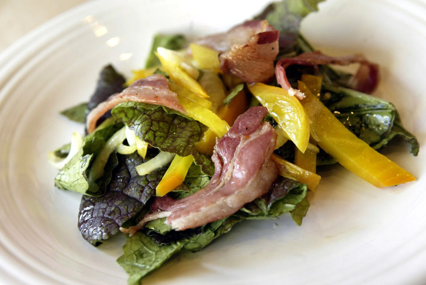 Japanese Giant Red Mustard Green - Image 9