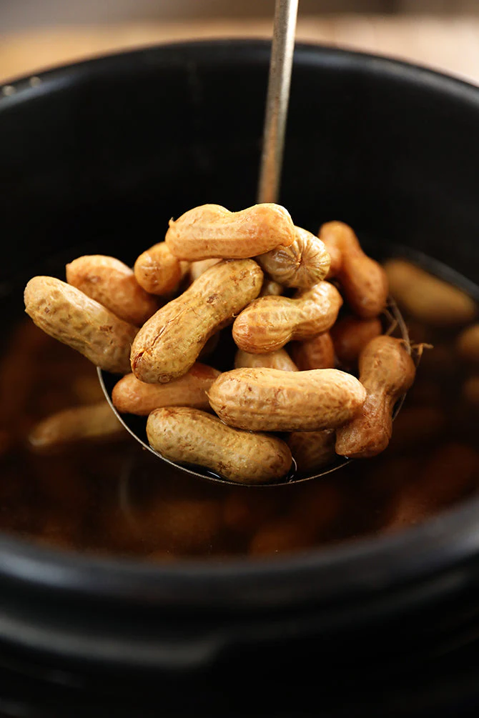 Jumbo Bailey Virginia Peanut - Image 10
