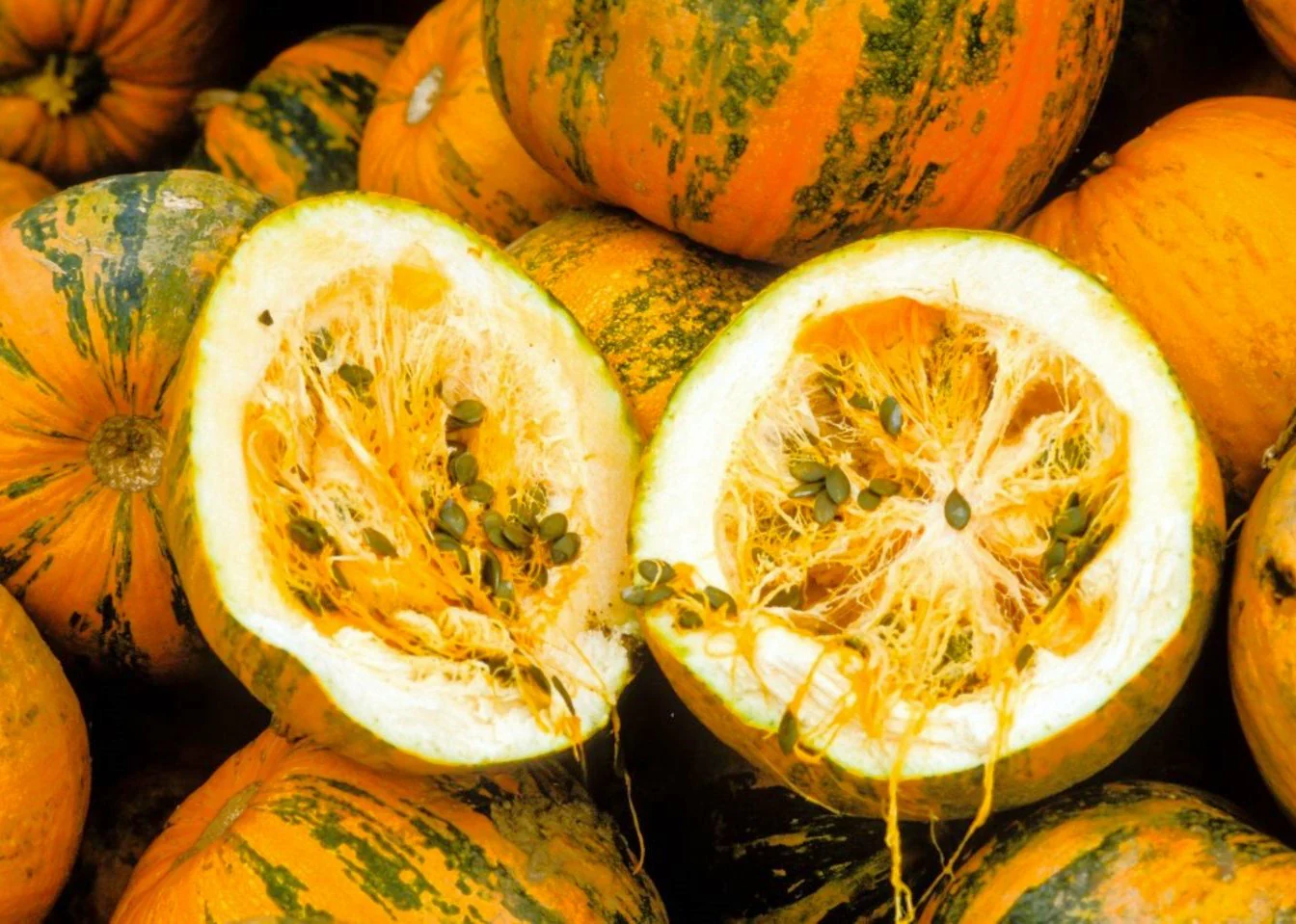 Kakai Hulless Pumpkin - Image 8
