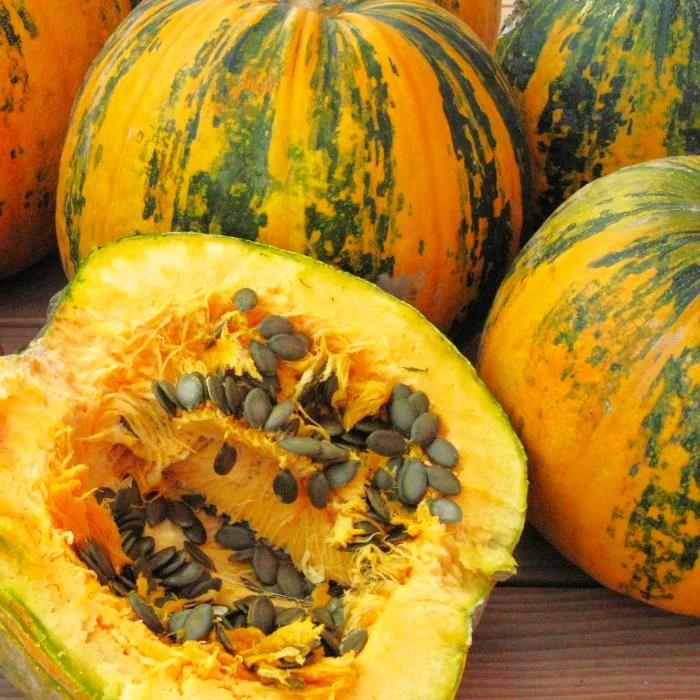 Kakai Hulless Pumpkin - Image 9