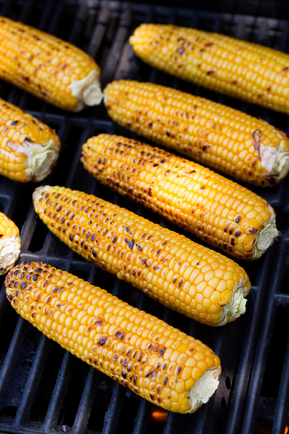Kandy Korn Sweet Corn - Image 5
