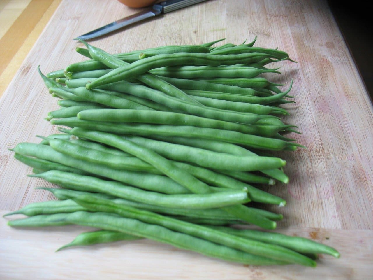 Kentucky Wonder Green Bean (Pole) - Image 3