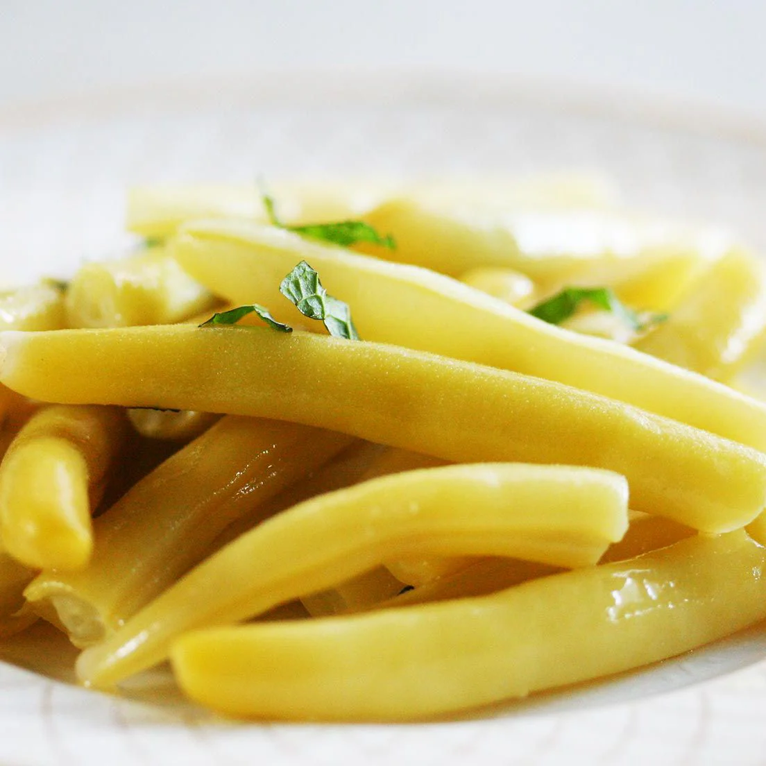 Kentucky Wonder Yellow Wax Bean (Pole) - Image 3
