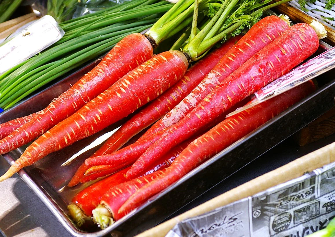 Kintoki Red Carrot - Image 8