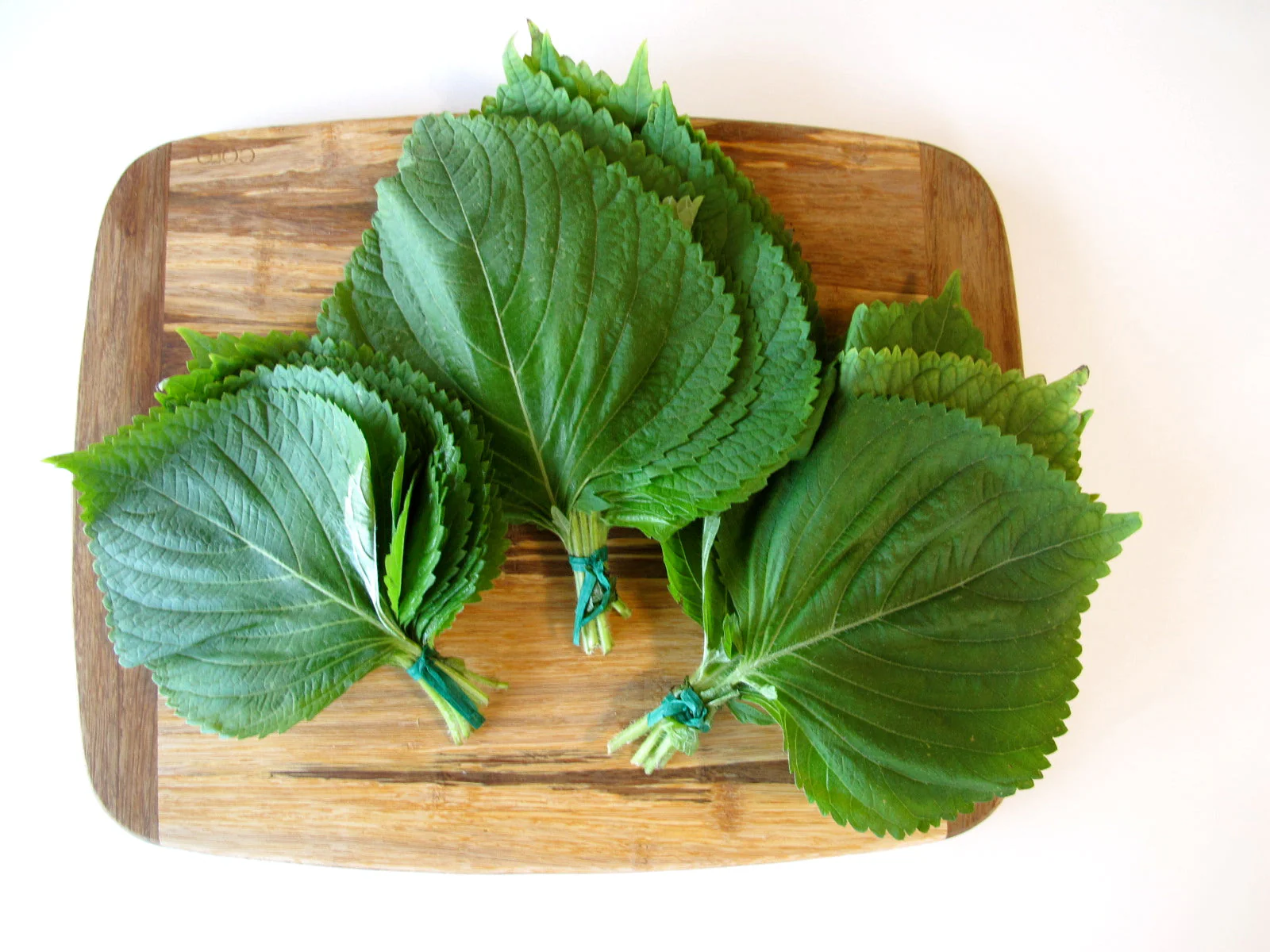 Korean Perilla (Shiso) - Image 4