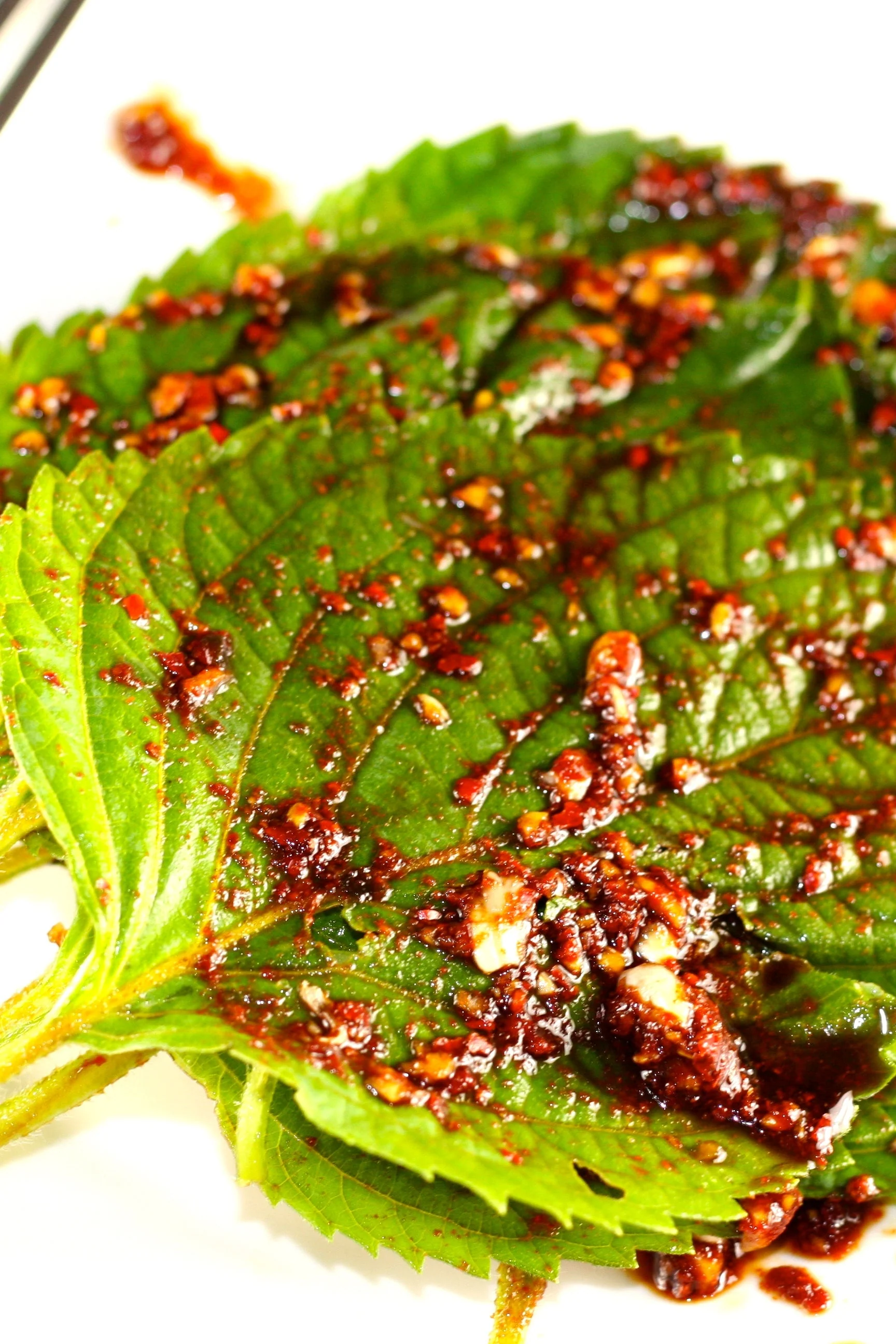 Korean Perilla (Shiso) - Image 6