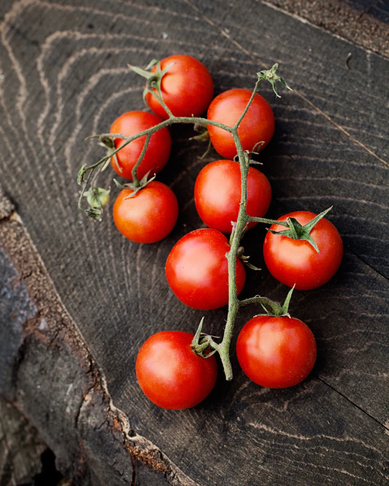 Large Red Cherry Tomato - Image 3