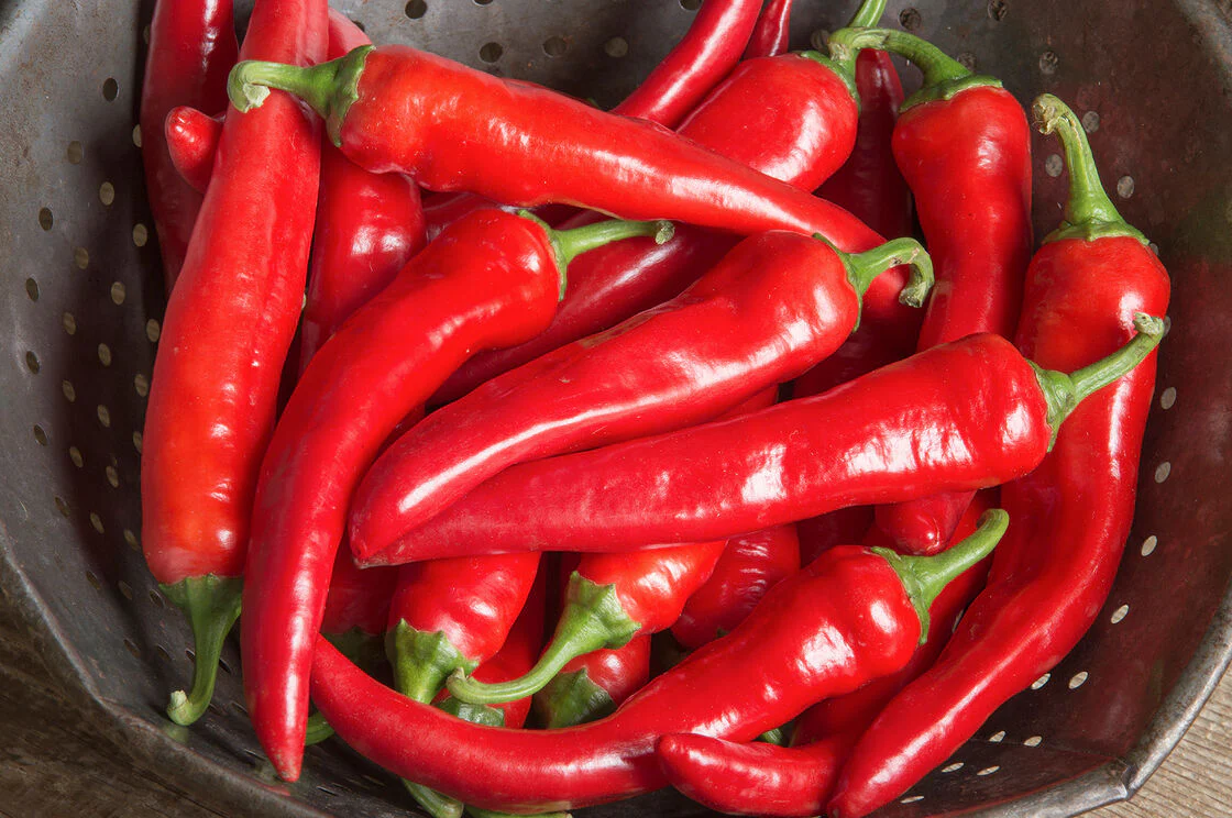 Large Red Thick Cayenne Pepper - Image 4