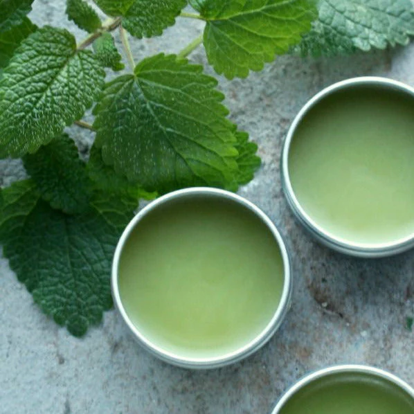 Lemon Balm - Image 12