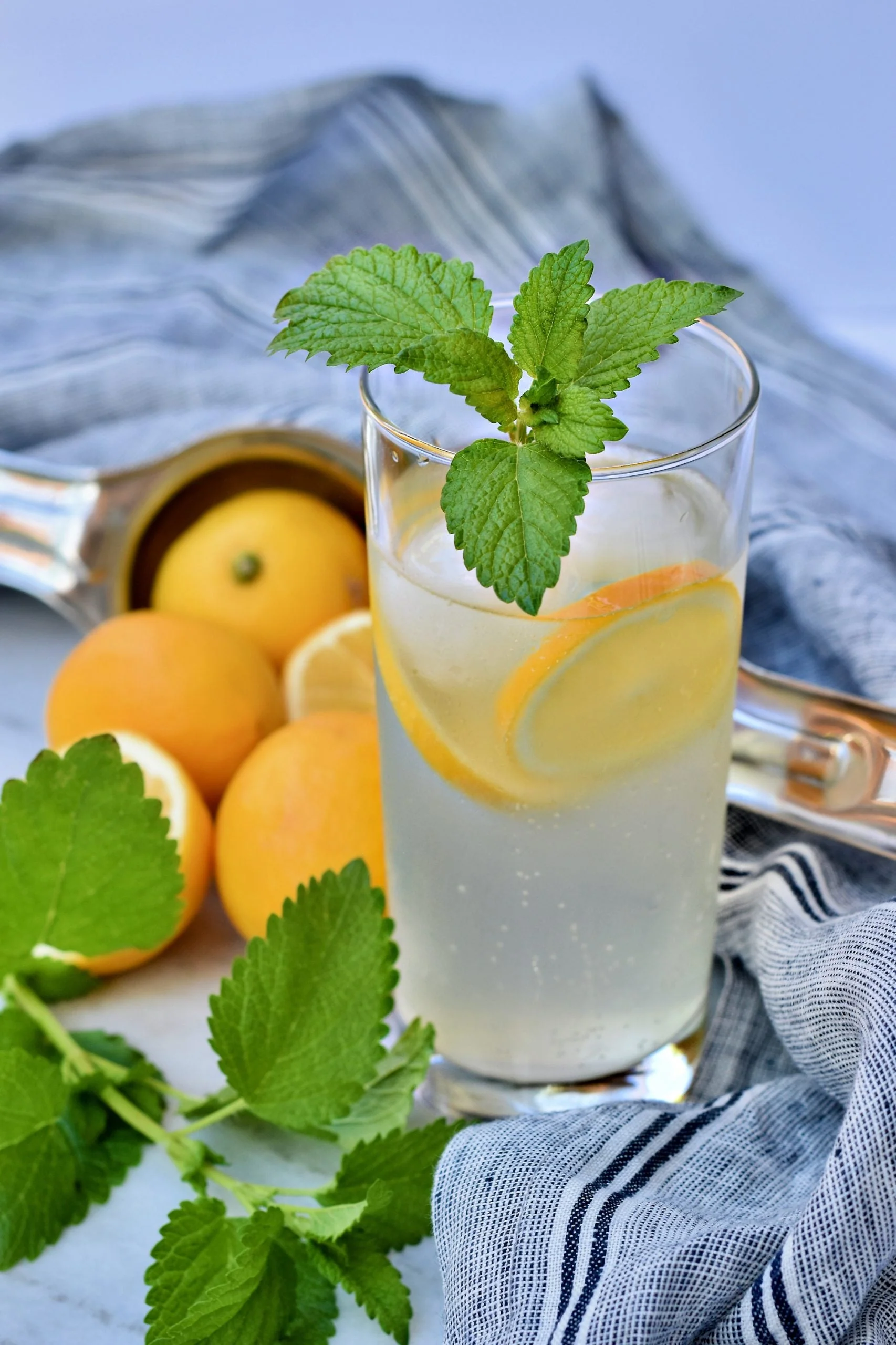 Lemon Balm - Image 3