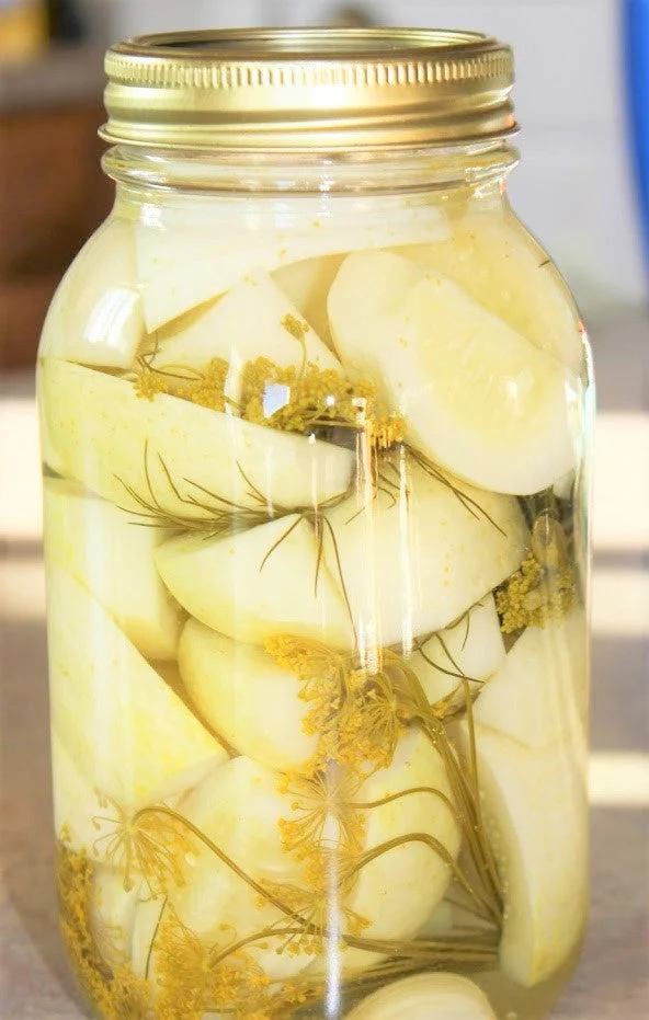 Lemon Cucumber - Image 9