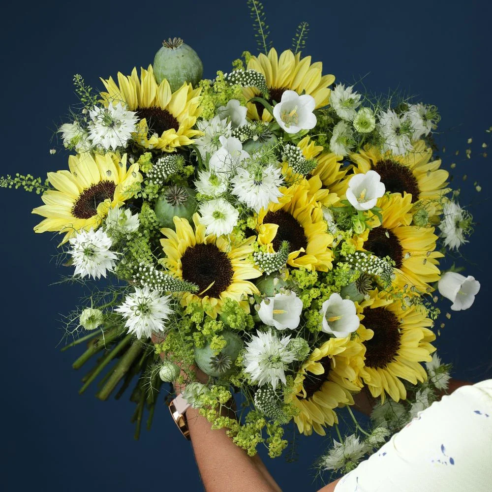 Lemon Queen Sunflower - Image 3