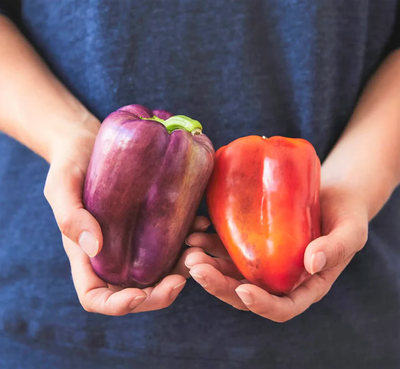 Lilac Bell Pepper - Image 7