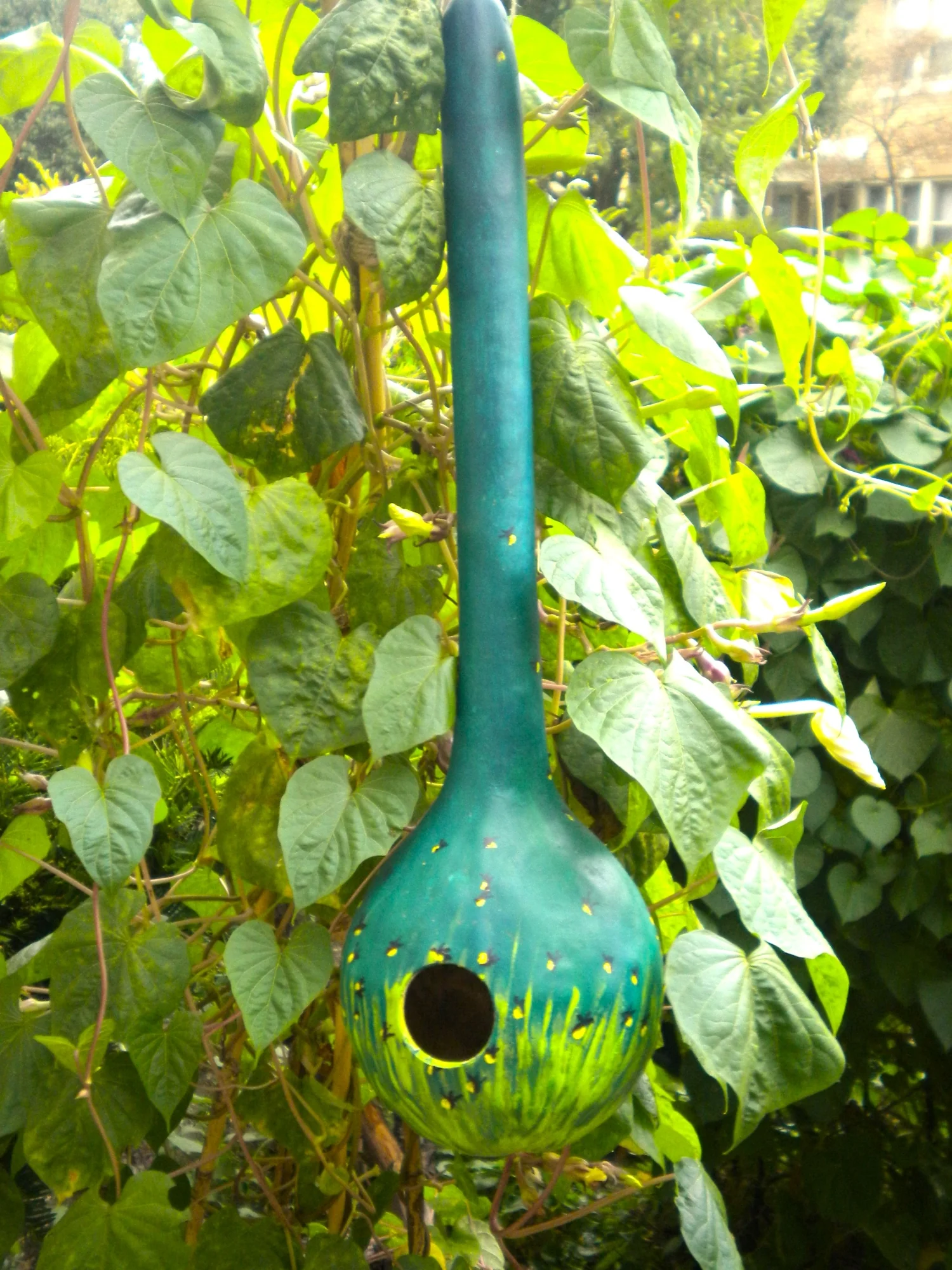 Long-Handled Dipper Gourd - Image 6