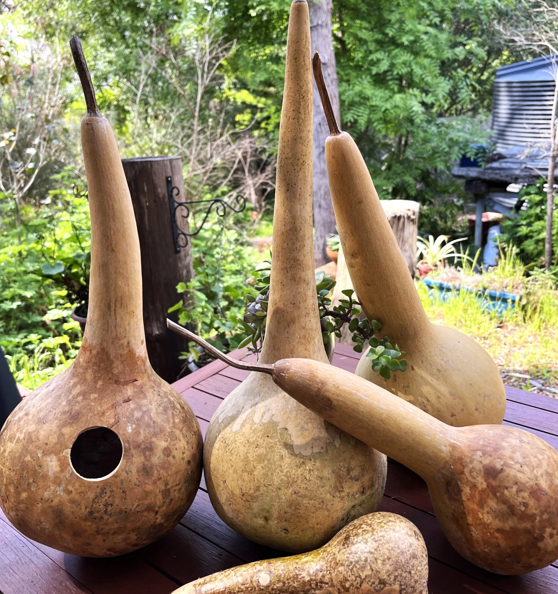 Long-Handled Dipper Gourd - Image 8