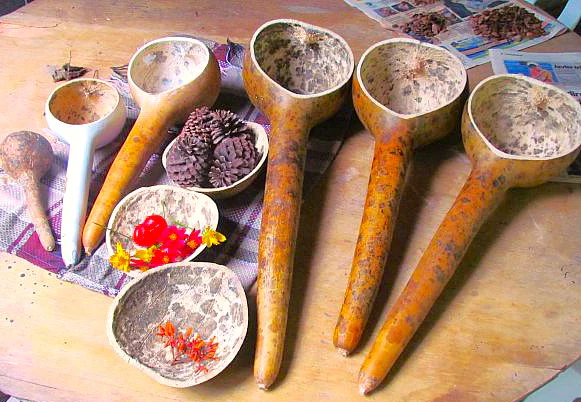 Long-Handled Dipper Gourd - Image 9