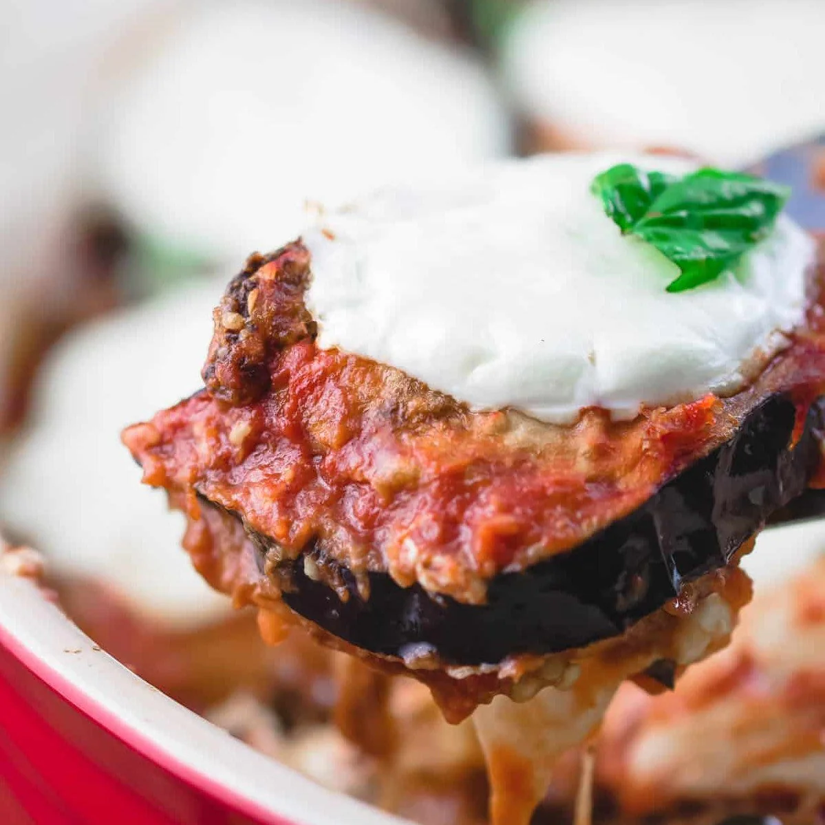 Long Purple Eggplant - Image 10