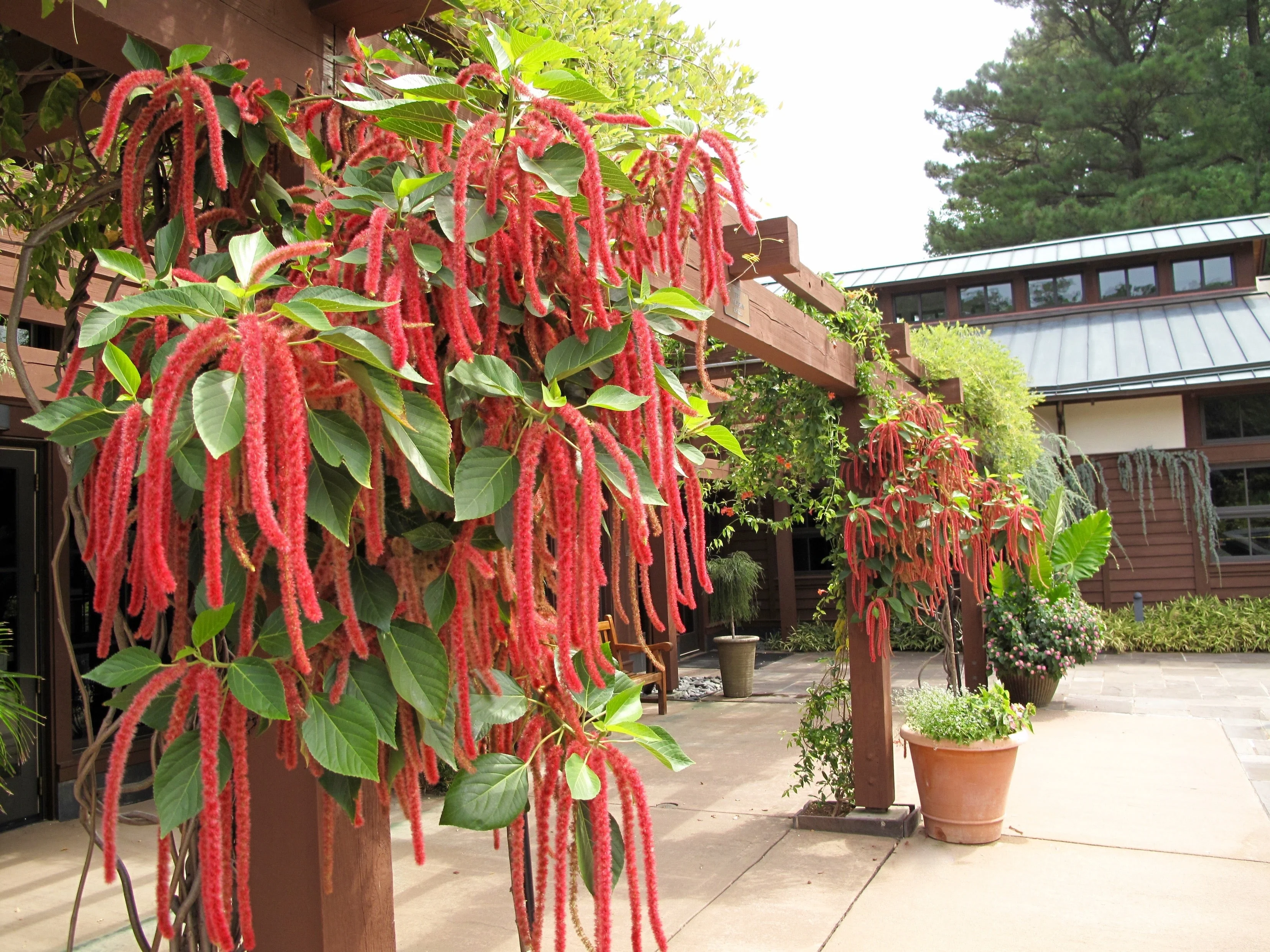 Love Lies Bleeding - Image 4