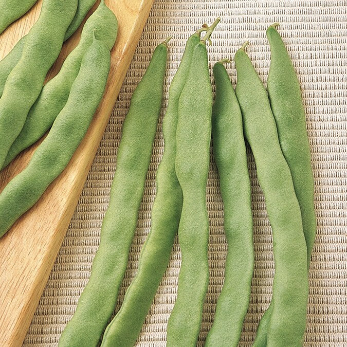 Lu Qing Romano Bean (Pole) - Image 4
