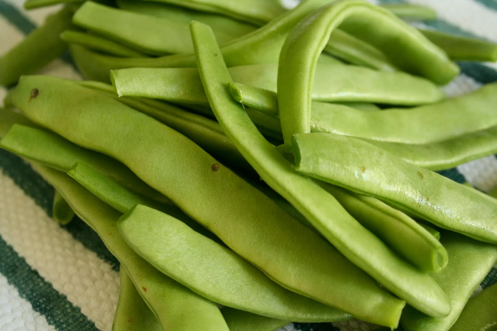 Lu Qing Romano Bean (Pole) - Image 5