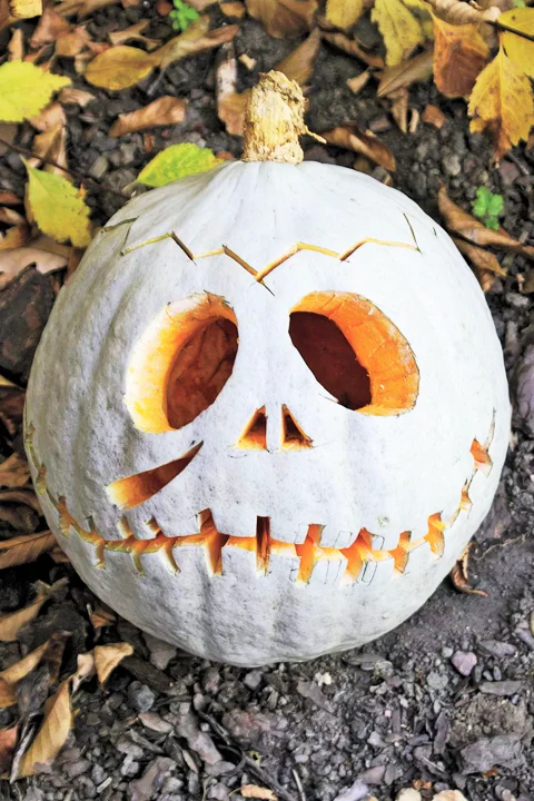 Lumina White Pumpkin - Image 6