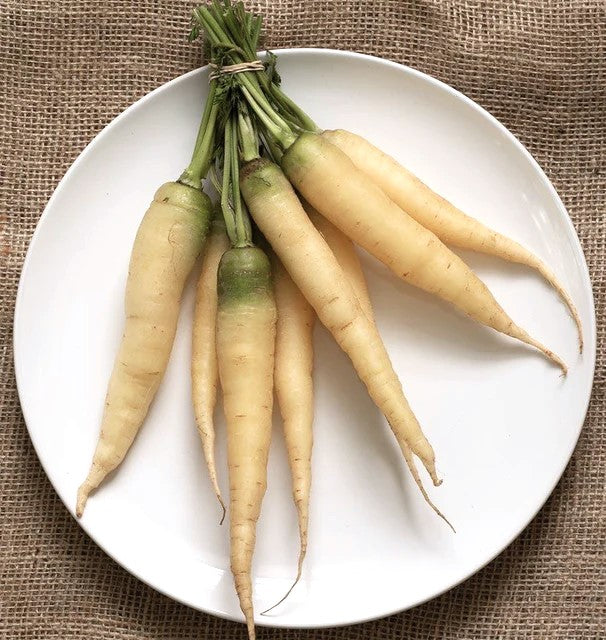 Lunar White Carrot - Image 10