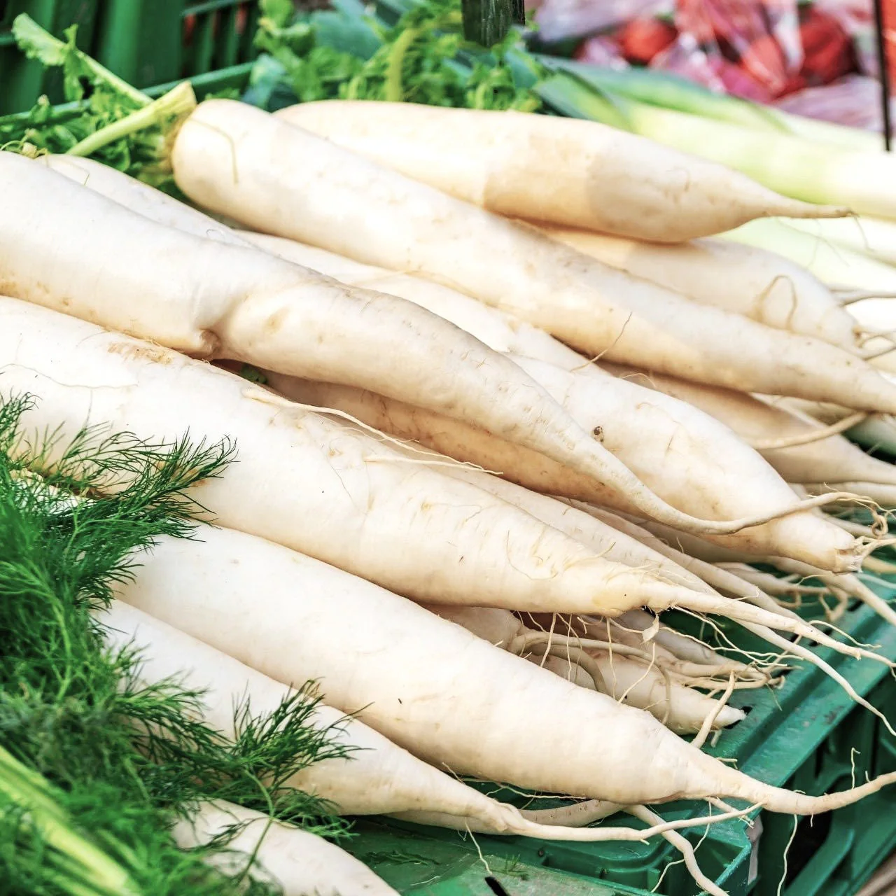Lunar White Carrot - Image 4