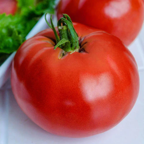 Marglobe Tomato - Image 3