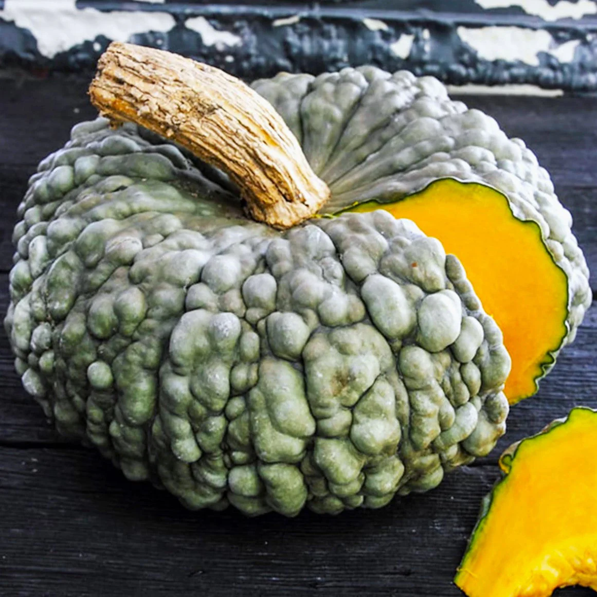 Marina Di Chioggia Squash