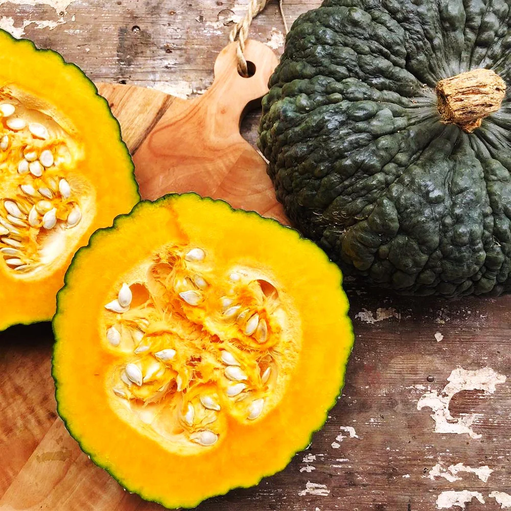 Marina Di Chioggia Squash - Image 8