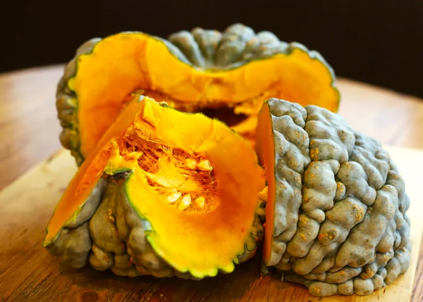 Marina Di Chioggia Squash - Image 9
