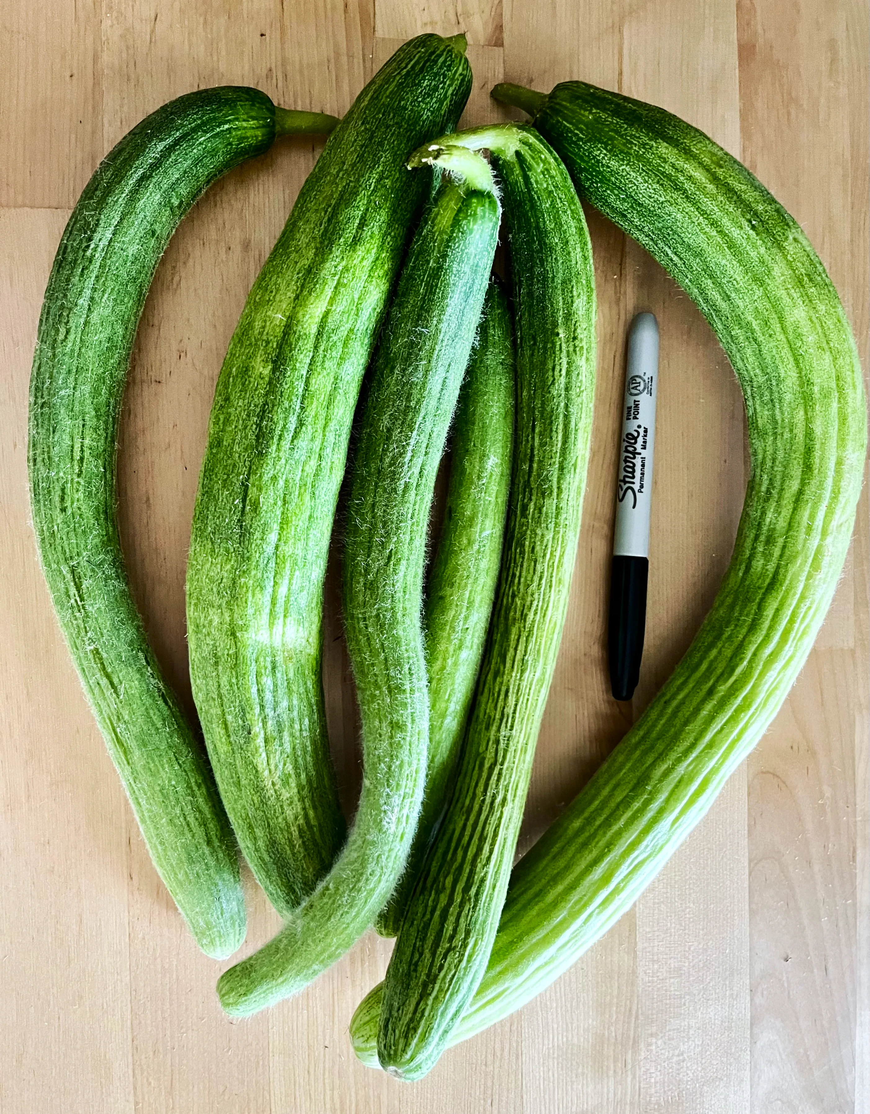 Metki Dark Green Armenian Cucumber - Image 5