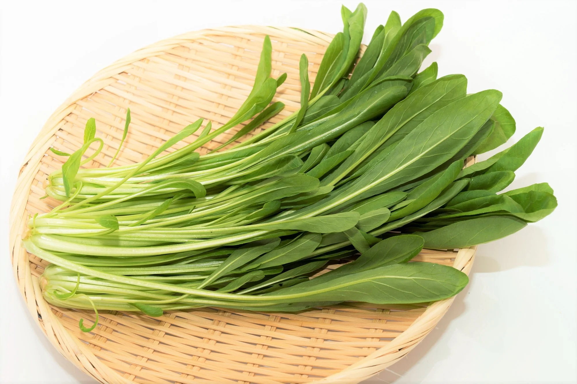 Mibuna Mustard Green - Image 3