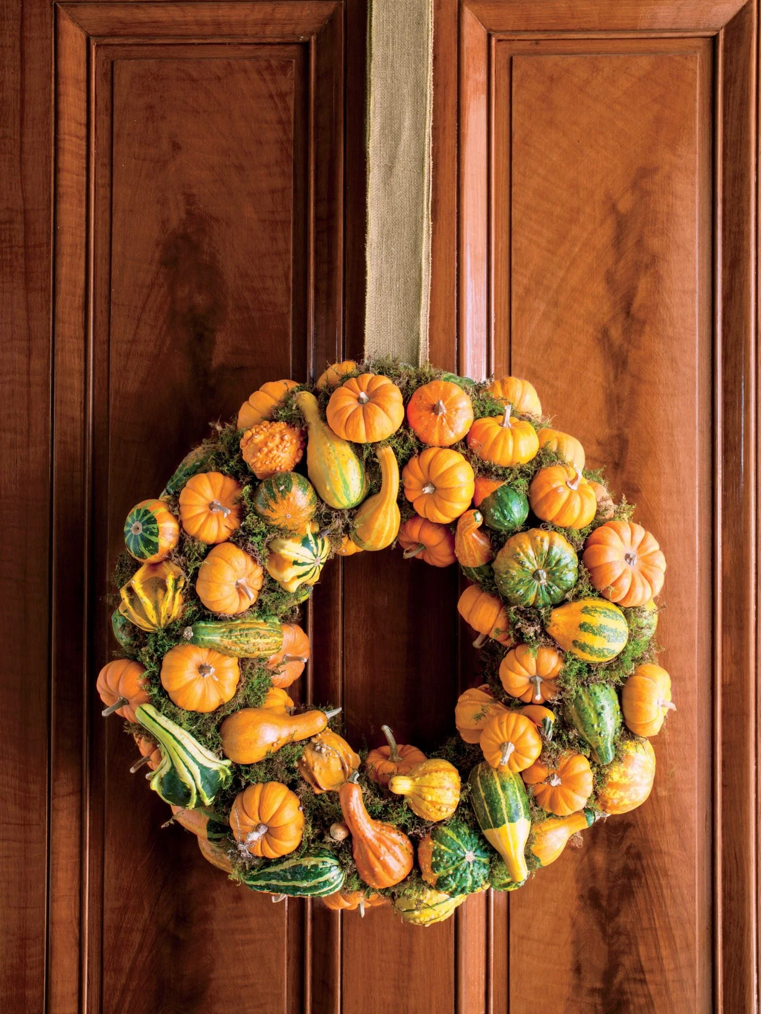 Jack-Be-Little and Wee-B-Little Mix Pumpkins - Image 12